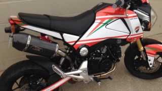 Honda Grom MSX 125S graphics Kit by PowerSportsWrapscom [upl. by Eceinaj948]