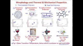 Muddiest Points Polymers I  Introduction [upl. by Yrennalf]