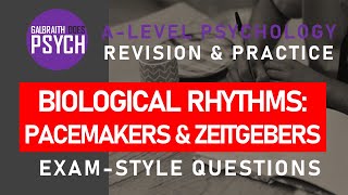 Biological Rhythms Pacemakers and Zeitgebers  Exam Questions amp Revision  ALevel  AQA Psychology [upl. by Akemahc]