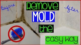 HOW TO CLEAN GROUT THE EASY WAY  Shirlee Alicia [upl. by Romito]