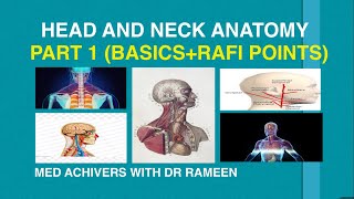 HEAD AND NECK ANATOMY 1 Basic and Rafi points FCPS 1 [upl. by Enomsed]