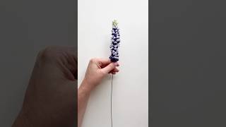 Felt lupine flower feltflower [upl. by Aikas769]