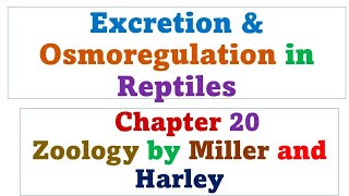 Excretion and Osmoregulation in reptiles  zoology by miller and Harley [upl. by Yenrab]