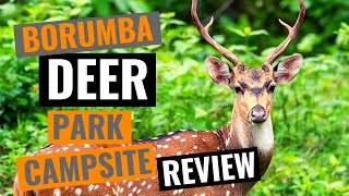 Borumba Deer Park  Imbil  Queensland  Campsite Review  Imbil State Forest 4x4 [upl. by Anitniuq496]