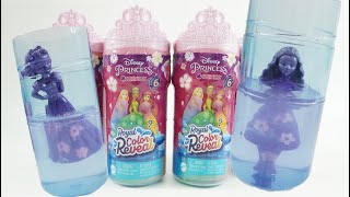 Disney Princess Dolls Royal Color Reveal with Water Garden Edition [upl. by Drice57]