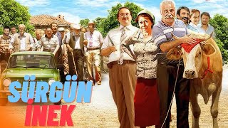 Sürgün İnek Türk Filmi  FULL HD  FIRAT TANIŞ [upl. by Eneres]