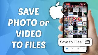 How to Save Photos amp Videos to Files on iPhone [upl. by Noynek]