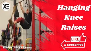 Hanging Knee Raises [upl. by Akili]