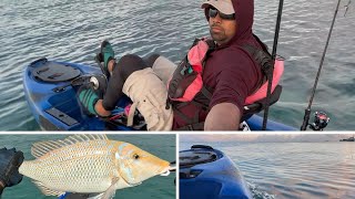 Dropshot in the lagoon of Mt Choisy Fishing beach Mauritius 2023 [upl. by Azarcon326]