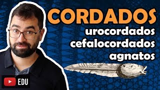 Urocordados Cefalocordados e Agnatos  Cordados Aula 27  Módulo VI Zoologia  Prof Gui [upl. by Ailhad179]