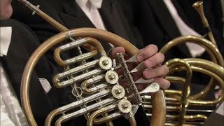 Beethoven 6th Symphony Finale Horn Solo [upl. by Sidon]