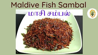 மாசி சம்பல் செய்யும் முறை How to Make Maldive Fish Sambal Recipe in tamil Srilankan masi Sambol [upl. by Ahusoj893]