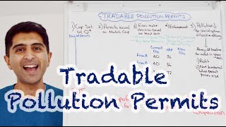 Y1 32 Tradable Pollution Permits Cap and Trade for Market Failure [upl. by Aneeres]