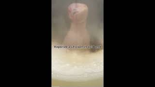 Vaporizing a chicken in acid 🤯 [upl. by Assele135]