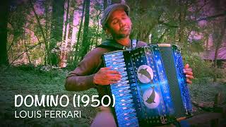 Domino 1950  Live accordion performance [upl. by Schmitt]