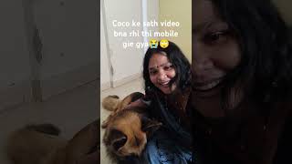 coco ke sath video bna rhi thi 😭😭 mobile gir gya germanshepred doglover funny germansheprd dog [upl. by Lewls]