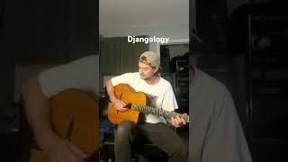 Djangology learning acoustic django gypsyjazz [upl. by Sexton]