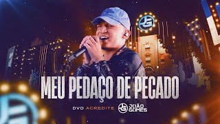 MEU PEDAÇO DE PECADO  João Gomes DVD Acredite  Ao Vivo em Recife [upl. by Nhor]