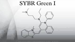 SYBR Green I [upl. by Coyle398]