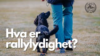 Hva er rallylydighet [upl. by Names]