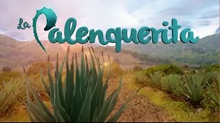 La Palenquerita [upl. by Omero]