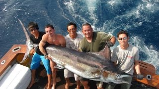 Fishing Tour Phuket Thailand [upl. by Rudwik657]