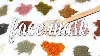 DIY Powdered Face Mask Ι TaraLee [upl. by Akinnej]