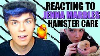 Pet Youtuber Reacts to Jenna Marbles Hamster Care [upl. by Orteip313]