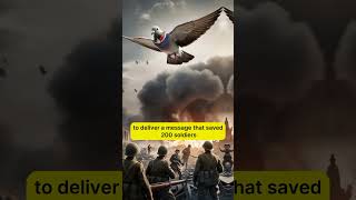 The Pigeon That Saved 200 Lives in WWII shorts facts historyfacts [upl. by Aivizt]