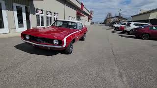 Chevrolet Camaro 1969 Convertible FOR SALE  Mtl West Motors [upl. by Aryn]