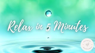 Relax in 5 Minutes  5 Minute Progressive Muscle Relaxation [upl. by Melva]