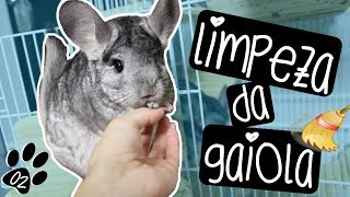 LIMPANDO A GAIOLA  VLOG DAS CHINCHILAS 02  by Carla Soares [upl. by Shirlie]