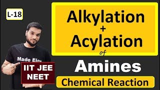 L18 Alkylation  Acylation of Amines  Chemical Reactions  JEE NEET  By Arvind Arora [upl. by Anyk]