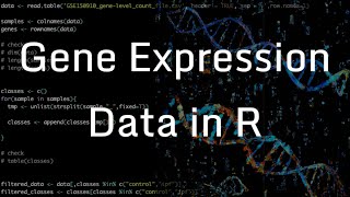 Lesson 3 Reading Gene Expression Data into R [upl. by Nnave]