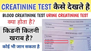 Creatinine Test In Hindi  creatinine normal range [upl. by Dnana907]