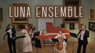 Telemann  Tafelmusik Quartet in G major  Luna Ensemble [upl. by Labotsirc]