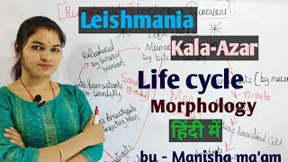 Leishmania Donovani  life cycle  Morphology  Parasitology By Manisha Maam [upl. by Cronin693]