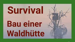 Survival Waldhütte selber bauen  Ideen für die Notunterkunft oder eine Schlafmöglichkeit im Wald [upl. by Nuhsed]