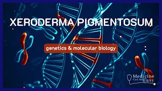 The Genetics behind Xeroderma Pigmentosum  NOTES [upl. by Sherlocke749]