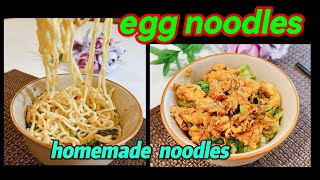 homemade egg noodle with egg sauce [upl. by Mauralia]