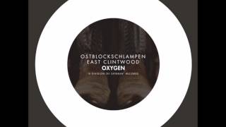 Ostblockschlampen  East Clintwood Extended Mix [upl. by Stoops]