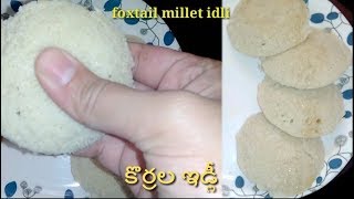 కొర్రలతో ఇడ్లీKorralu IdliFoxtail Millet Idli Millet IdliKorra Idli [upl. by Arenahs]