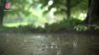 Soothing Quran Recitation  Rain sounds  Surah Ar Rahman [upl. by Blanchard]