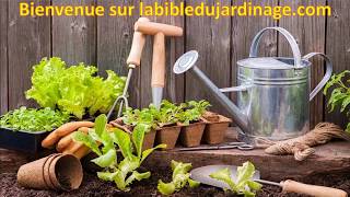 Calendrier COMPLET du potager du jardin et du verger [upl. by Aicatsan821]