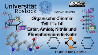 Einführung Organische Chemie Teil 11 Ester Amide Nitrile und Phosphorsäurederivate [upl. by Houlberg]