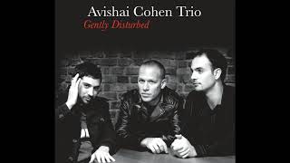 Avishai Cohen  Pinzin Kinzin [upl. by Maher]