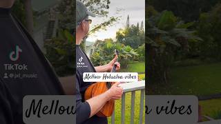 hawaii ukulele uke ukuleleplayer musician musiciansofyoutube music islandvibes tropical [upl. by Pressey]