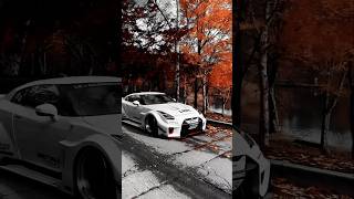 Wife her GTR R35 Stance Skyline Edition with Car Girl [upl. by Napoleon]