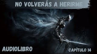 AUDIOLIBRO  NO VOLVERÁS A HERIRME CAPÍTULO 14 [upl. by Hcelemile311]