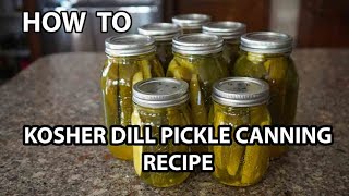 How To Can Kosher Dill Pickles For Beginners [upl. by Eignav884]